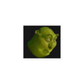 Kiss-Cut Stickers shreck